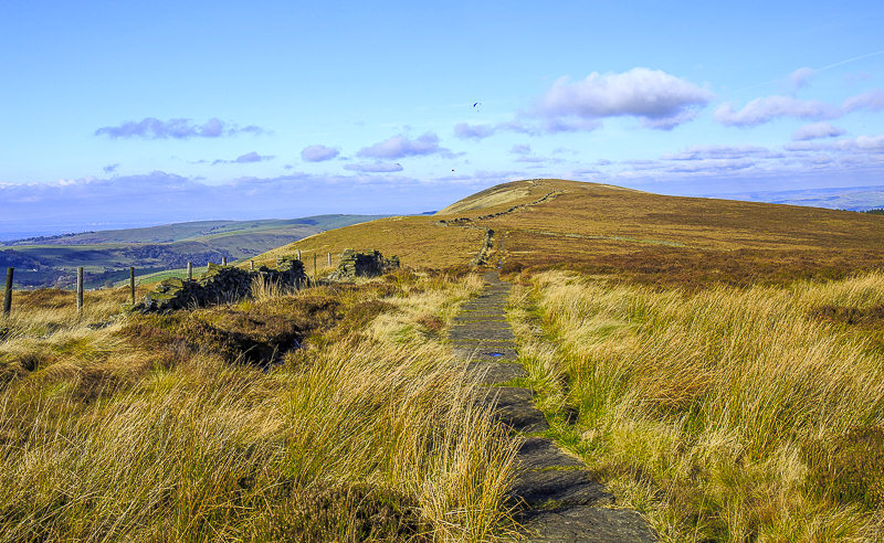Cats Tor
